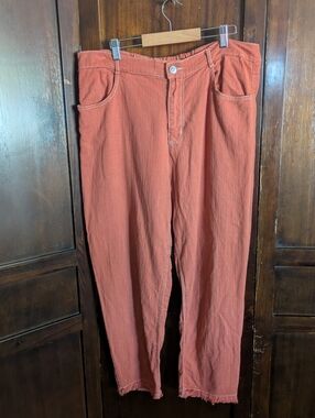 Orange Zara Pants